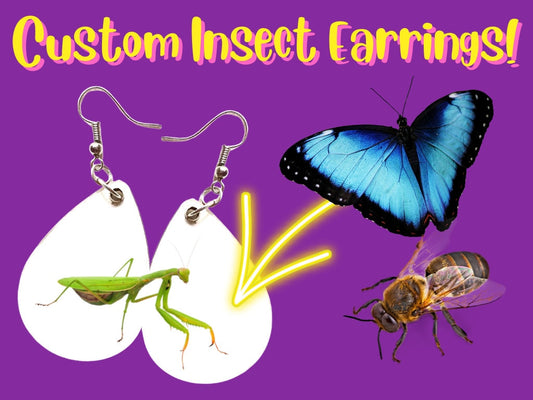 Custom Earrings - Your Insect Here: Bugs, Critters, Butterfly, Butterflies, Any Photo Earrings, Sublimated, Best Gift For Her/Him/Them