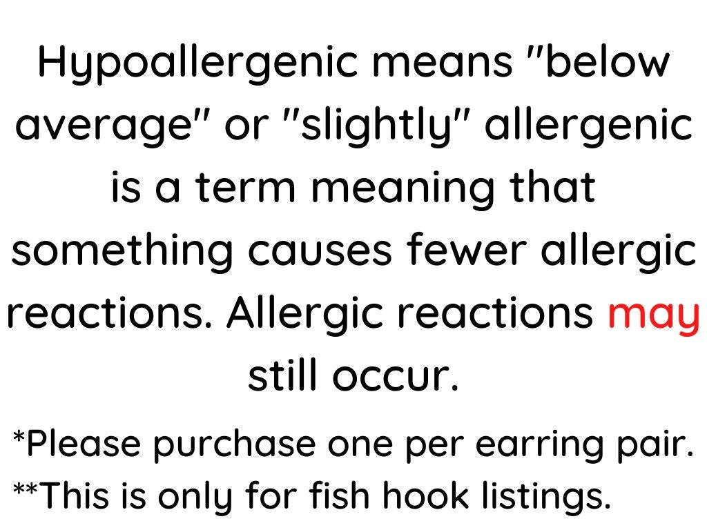 Hypoallergenic Earring Fish Hooks to Replace Regular Fish Hooks: Order Add On (One Per Purchased Pair)