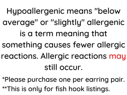 Hypoallergenic Earring Fish Hooks to Replace Regular Fish Hooks: Order Add On (One Per Purchased Pair)