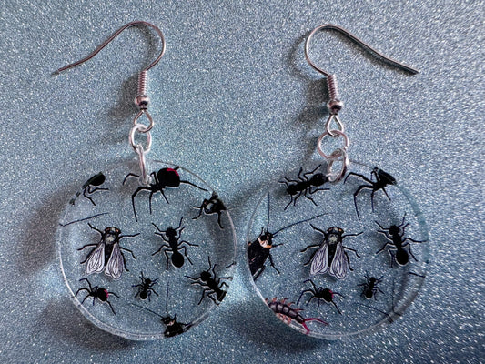 Insect Earrings: Laser Cut Acrylic Insects, Bugs, Ant, Spider, Centipede, Fly, Beetle, Animals, Entomology, Zoo, Best Gifts for Her/Him/Them