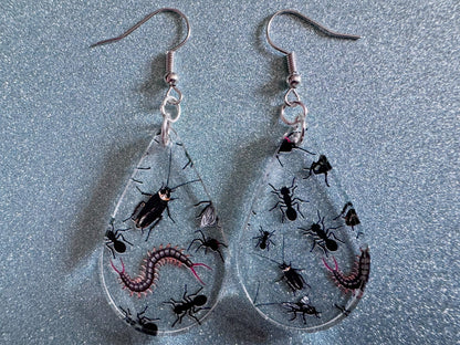 Insect Earrings: Laser Cut Acrylic Insects, Bugs, Ant, Spider, Centipede, Fly, Beetle, Animals, Entomology, Zoo, Best Gifts for Her/Him/Them