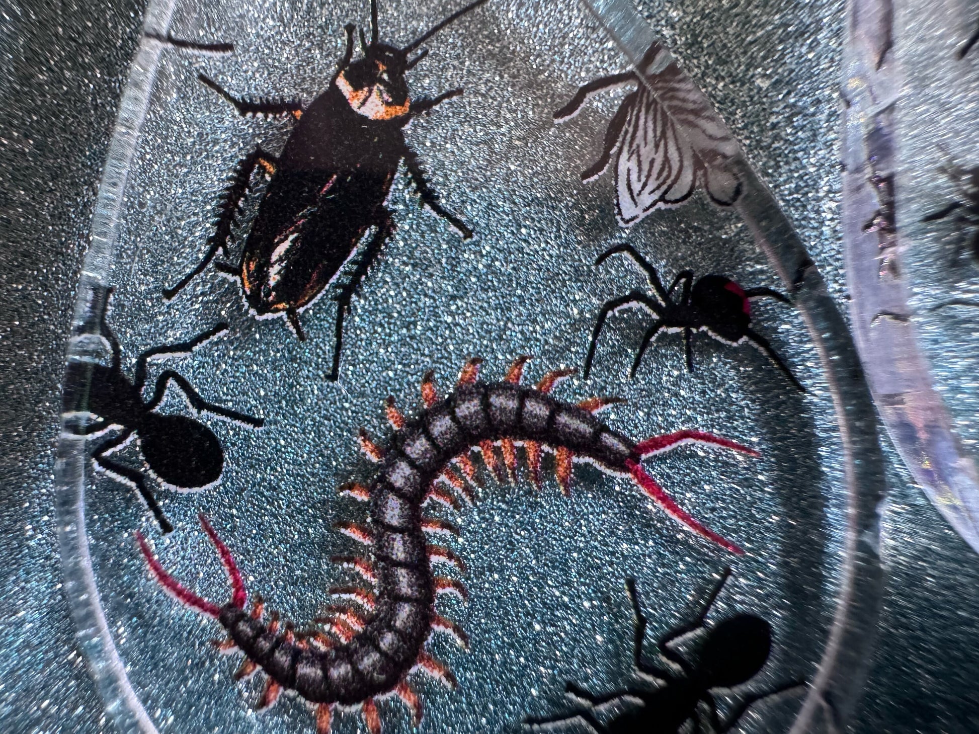 Insect Earrings: Laser Cut Acrylic Insects, Bugs, Ant, Spider, Centipede, Fly, Beetle, Animals, Entomology, Zoo, Best Gifts for Her/Him/Them