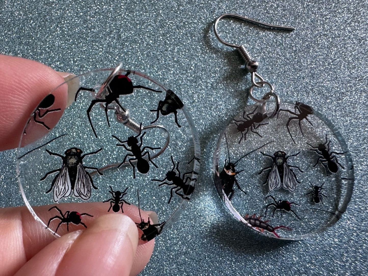 Insect Earrings: Laser Cut Acrylic Insects, Bugs, Ant, Spider, Centipede, Fly, Beetle, Animals, Entomology, Zoo, Best Gifts for Her/Him/Them