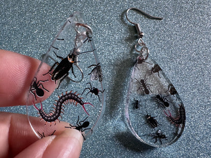 Insect Earrings: Laser Cut Acrylic Insects, Bugs, Ant, Spider, Centipede, Fly, Beetle, Animals, Entomology, Zoo, Best Gifts for Her/Him/Them