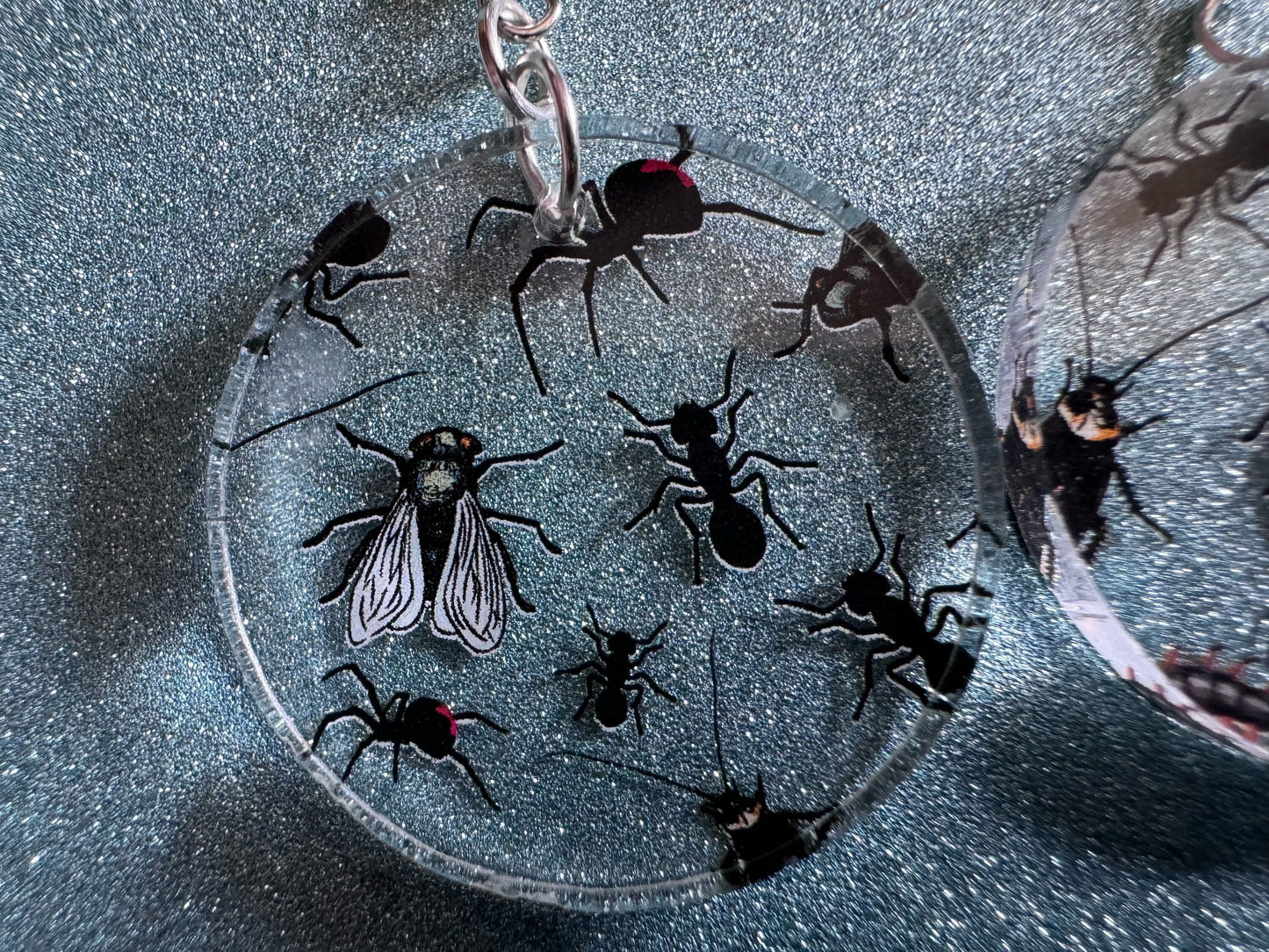 Insect Earrings: Laser Cut Acrylic Insects, Bugs, Ant, Spider, Centipede, Fly, Beetle, Animals, Entomology, Zoo, Best Gifts for Her/Him/Them