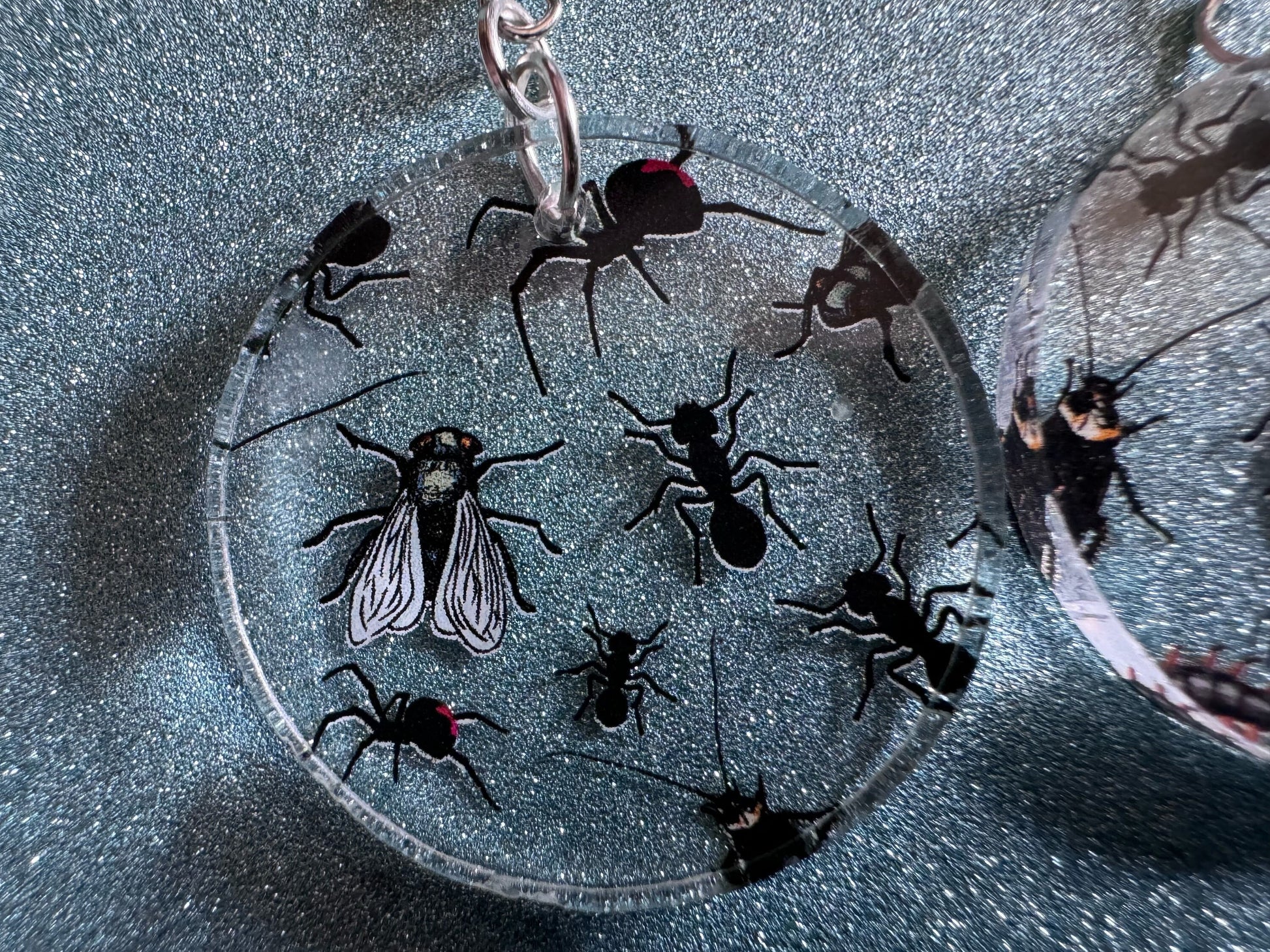 Insect Earrings: Laser Cut Acrylic Insects, Bugs, Ant, Spider, Centipede, Fly, Beetle, Animals, Entomology, Zoo, Best Gifts for Her/Him/Them