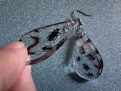 Insect Earrings: Laser Cut Acrylic Insects, Bugs, Ant, Spider, Centipede, Fly, Beetle, Animals, Entomology, Zoo, Best Gifts for Her/Him/Them