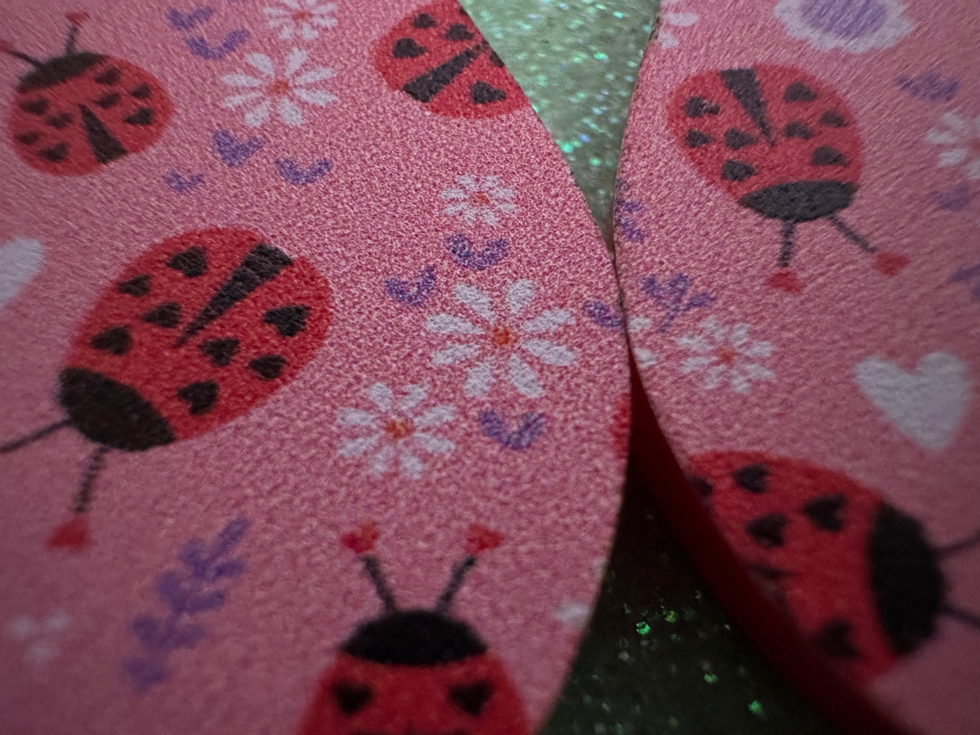 Ladybug Earrings: Laser Cut Acrylic Lady Birds, Ladybugs, Insects, Entomology, Ladybird, Summer Vibes, Cottage, Best Gifts for Her/Him/Them