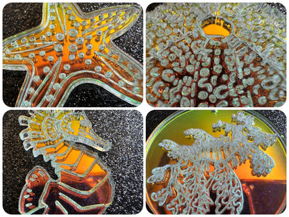 Ocean Creature Earrings: Laser Cut Acrylic Octopuses, Sea Urchins, Horses, Fish, Sea Dragons, Starfishes, Jellyfish, Gifts for Her/Him/Them