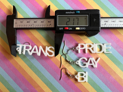 Pride Earrings: Laser Cut Acrylic Identity Earrings, Gay, Trans, Bi, Love is Love, Best Gifts for Her/Him/Them