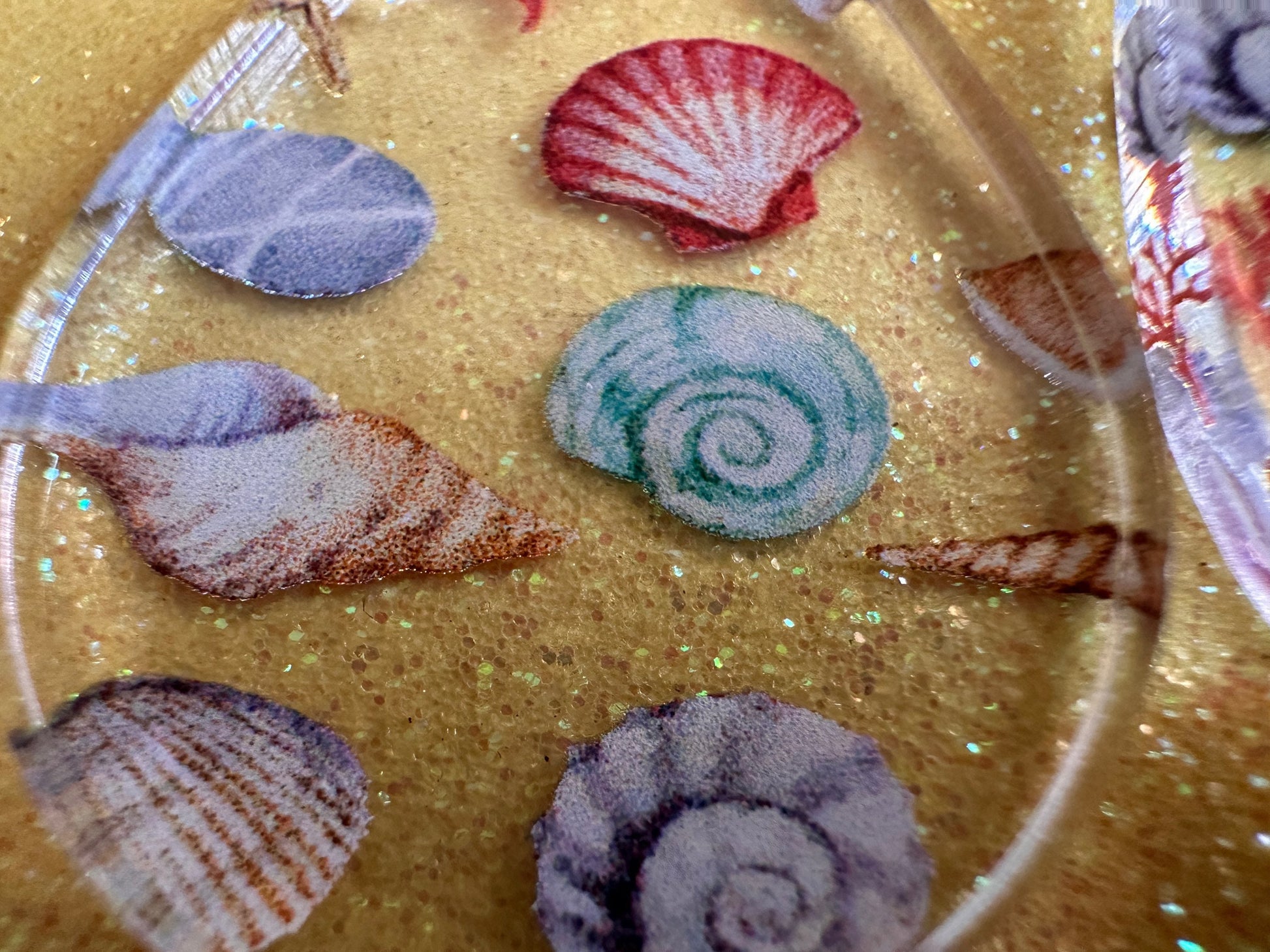 Shell Earrings: Laser Cut Acrylic Shells, Ocean, Beach, Oyster, Shells, Mollusks, Starfish, Clam, Sea, Shell, Best Gifts for Her/Him/Them